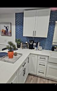 印第安纳波利斯Fountain Square Dream Dwelling的厨房配有白色橱柜和盆栽植物