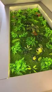 Φωτογραφία από το άλμπουμ του Quantum Havens Apartment - Amsterdam στο Ακούρ +33 φωτογραφίες