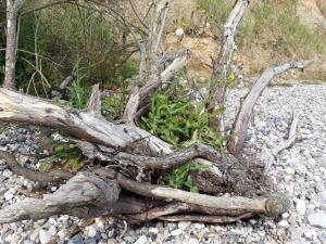 een boomtak die op een stapel stenen ligt bij 6 person holiday home in Haderslev-By Traum in Flovt