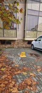 Fotografie z fotogalerie ubytování Apartament Central Craiova Hotel Lido v destinaci Craiova