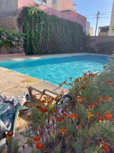 Бассейн в Appartement avec rooftop privé 3km des plages Taghazout surf или поблизости