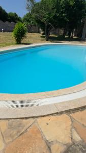 Πισίνα στο ή κοντά στο Carol's Home