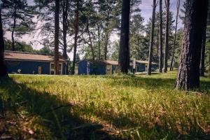 Un jardín fuera de Gemütliches Ferienhaus für bis zu 4 Personen-Urlaub machen, wo der Weihnachtsmann zu Hause ist