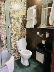 a bathroom with a toilet and a sink at Hotel Afrodita in Truskavets +24 photos