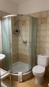 佐洛卡罗斯Bóbita Apartman的带淋浴和卫生间的浴室