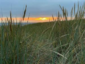 Příroda nedaleko prázdninového domu