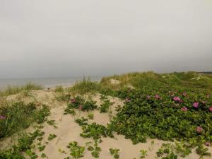 Příroda nedaleko prázdninového domu