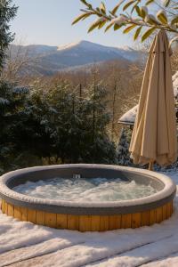 Γενική θέα στο βουνό ή θέα στο βουνό από  αυτό το σαλέ