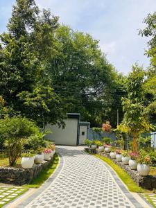 a walkway with pots of flowers in a garden at Liya 