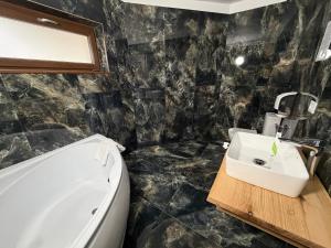ein Badezimmer mit Waschbecken und Badewanne in der Unterkunft Pensiunea Seraris in Voineasa