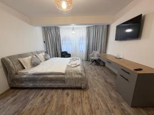 ein Schlafzimmer mit einem Bett, einer Couch und einem Schreibtisch in der Unterkunft Pensiunea Seraris in Voineasa