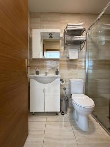a bathroom with a toilet and a sink and a shower at Villa Srma OHRİD in Ohrid