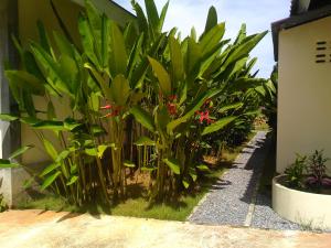 Ein Garten an der Unterkunft Khanom Garden Suite
