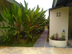 Ein Garten an der Unterkunft Khanom Garden Suite
