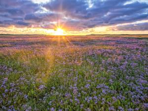 Příroda nedaleko prázdninového domu