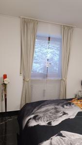 - une chambre avec une grande fenêtre et un lit dans l'établissement Adina Oase, à Rimbach