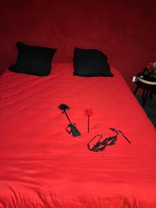 ein rotes Bett mit einer roten Decke mit Blumen darauf in der Unterkunft dream room in Saint-Amand-Montrond