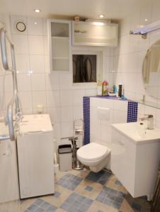 Ένα μπάνιο στο Stuga Lucy i Hassela -naturupplevelser