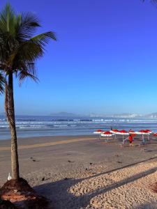 een strand met parasols en een palmboom en de oceaan bij King Midas in Guarujá