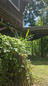 een houten huis met een groene struik ervoor bij El octógono in Tigre