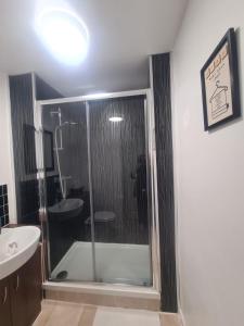 a bathroom with a shower and a toilet and a sink at Tyneside Apartments 5 Minutes From City Centre in Newcastle upon Tyne