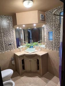 Koupelna v ubytování Residencia Salomon