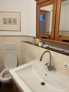 Koupelna v ubytování Ferienwohnung Cilli + 9 fotografií