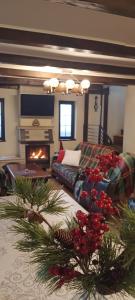 ein Wohnzimmer mit einem Weihnachtsbaum und einer Couch in der Unterkunft Casa AyA Colibita in Colibiţa