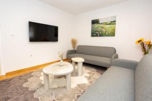 Μια τηλεόραση ή/και κέντρο ψυχαγωγίας στο Apartments Daris