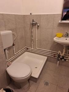 een badkamer met een douche, een toilet en een wastafel bij Ana in Craiova
