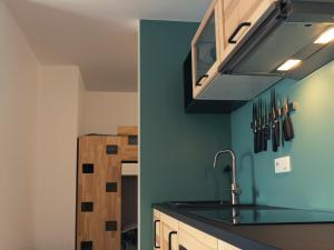 勒格兰阿伯尔热芒L'échappée Belle的带水槽和台面的厨房