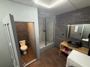 a bathroom with a toilet and a walk in shower at Apartament cu 5 camere in Craiova