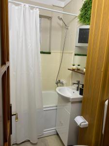 een badkamer met een douchegordijn en een wastafel bij Lemora Apartments 3 in Văleni