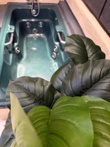 Φωτογραφία από το άλμπουμ του Posada Familiar Encarnación de Siberia Group σε Encarnación