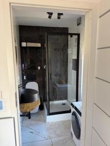 a bathroom with a shower and a washing machine at Studio szczawienko in Wałbrzych +6 photos
