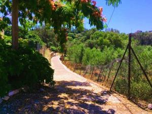 a dirt road with a fence on the side at Villa Spiti Ute in Makrádes