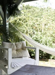 a hammock in a room with a palm tree at La poolhouse in Grand-Bourg
