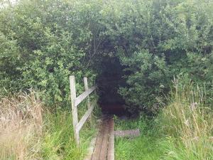 Galería fotográfica de Cozy Log Cabin Retreat-By Traum en Oksbøl 34 fotos más