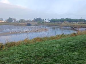 Φυσικό τοπίο κοντά σε αυτό το διαμέρισμα