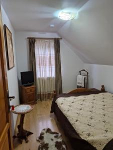 Vadu MoţilorPensiunea Cabana Viselor ,Apuseni的一间带床、电视和窗户的卧室