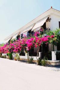 a building with pink flowers on the side of it at Hotel Angeliki in Ireon