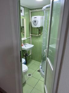 布勒伊拉Casa Andrei的带淋浴、马桶和水槽的浴室