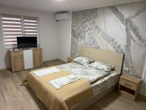 布勒伊拉Casa Andrei的一间卧室,墙上有一张床和一台电视