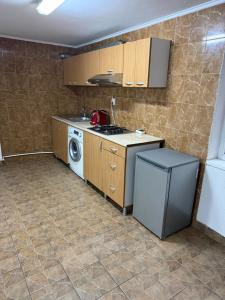 布勒伊拉Casa Andrei的配有炉灶和洗衣机的厨房