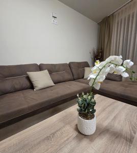 Χώρος καθιστικού στο Апартаменти Шадравана