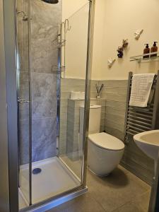 巴斯The Bluebell的带淋浴、马桶和水槽的浴室 更多21张照片