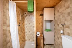 Un baño con ducha, inodoro y lavabo. en Apartment Steini since 1574, en Wilderswil