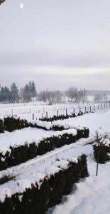 a field covered in snow with trees and a fence at Podhale Agroturystyka u Mikołajki in Długopole
