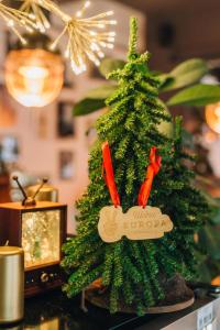 a small green christmas tree sitting on a table at Hotel Mokotów in Warsaw
