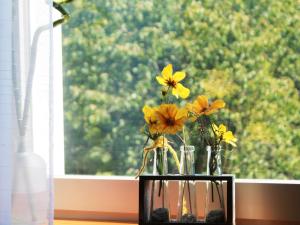 Gallery image of Ferienwohnung Niggemann in Bestwig